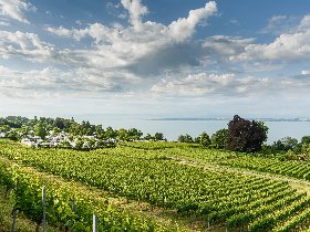 Pfingsten 4 Tage Bed & Breakfast im Boutique-Hotel