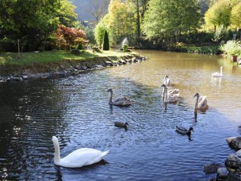 Traumhafte Beauty Spa Days in Bad Betrich in der Eifel