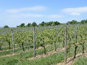 Romantisches Paradies für Zwei in der Eifel in Bad Bertrich
