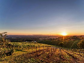 Ruhe & Romantik im steirischen Weinberg-Chalet | 3 Nächte