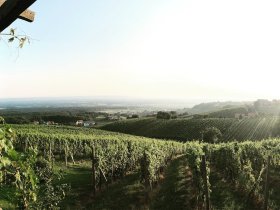 Ruhe & Romantik im steirischen Weinberg-Chalet | 3 Nächte