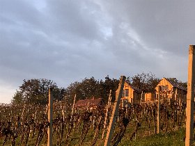 Ruhe & Romantik im steirischen Weinberg-Chalet | 3 Nächte
