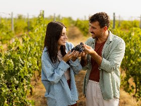 2 Nächte im Weinberg-Chalet und 1 Tag Therme Bad Radkersburg