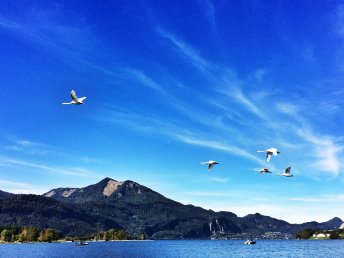 2 Tage  Auszeit am Wolfgangsee mit Wellness