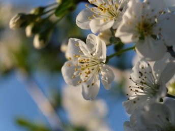 Sonntagsfrühling - Stopover bei Nürnberg