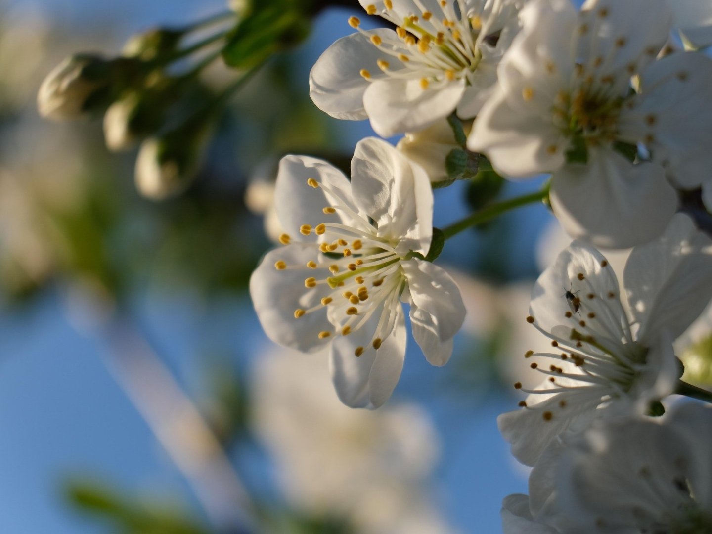 Sonntagsfrühling - Stopover bei Nürnberg