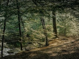 Ihre Luxus-Auszeit in der Diepeschrather Mühle im Bergischen Land – 4 Tage Entspannung und Genuss
