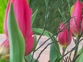 Winterliche Genussauszeit