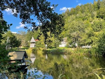 Wellness-Spa-Nachmittag zwischen Feldberg & Titisee