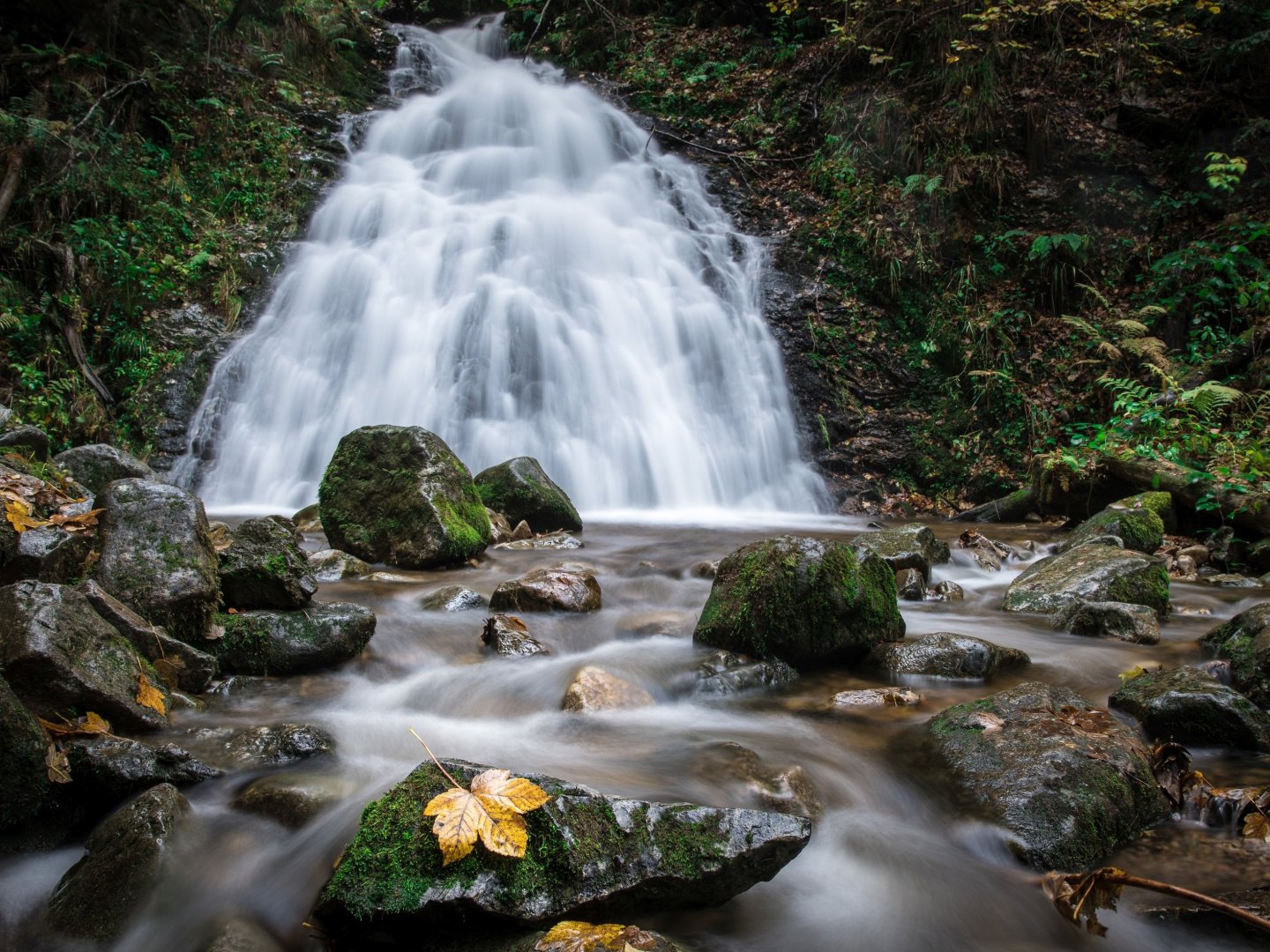 Aktivzeit in Todtmoos – Natur, Abenteuer & Erholung im Schwarzwald