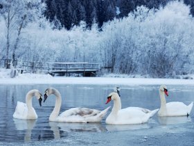 Winterschnäppchen am Beetzsee - 3 Tage inkl. HP plus