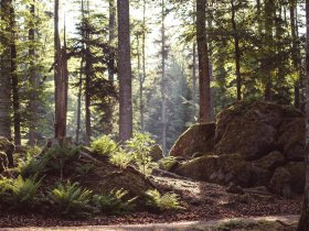 5 Tage Wellnesswinter mit Schneeschuhen und Massage