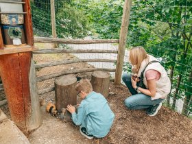 Romantik-Urlaub in den Dolomiten | 4 Nächte