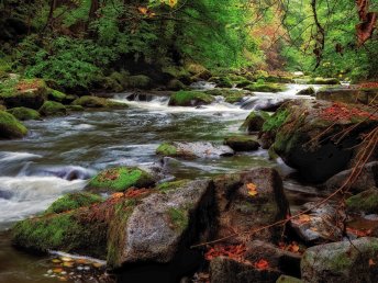 Erholung pur im Harz I 3 Tage Kurzurlaub
