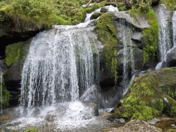 4 Tage Wanderurlaub im Schwarzwald