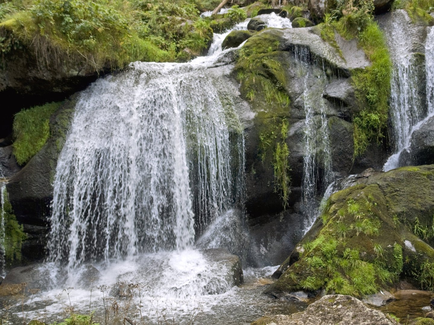 4 Tage Wanderurlaub im Schwarzwald