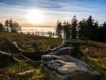 4 Tage Wanderurlaub im Schwarzwald