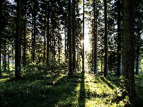 3 Tage Winter-Auszeit Am Wochenende im frostigen Hochschwarzwald inkl. täglichem Abendmenü 2