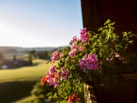3 Tage Winter-Auszeit Am Wochenende im frostigen Hochschwarzwald inkl. täglichem Abendmenü 2