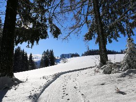3 Tage Winter-Auszeit Am Wochenende im frostigen Hochschwarzwald inkl. täglichem Abendmenü 2