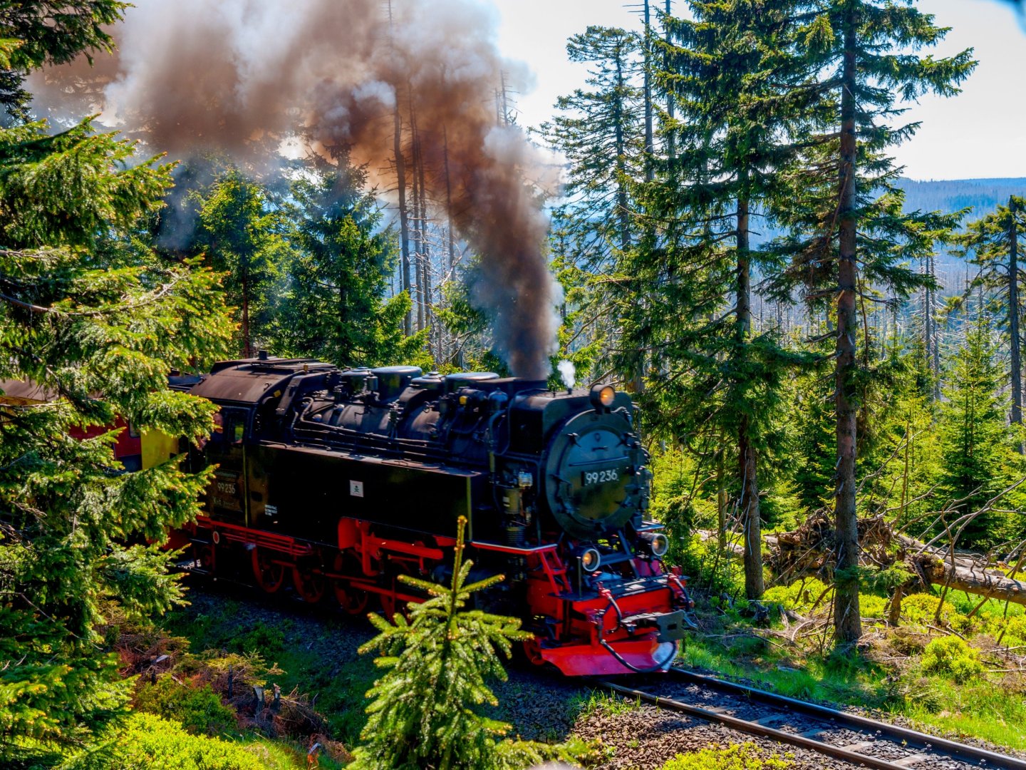 Stadtgeflüster & Fachwerkzauber in Wernigerode - 3 Tage im Harz