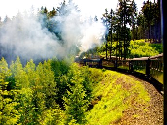 Harzzeit & Bahnerlebnis - 5 Tage in Wernigerode