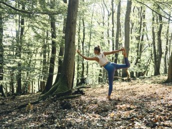 3 Tage Luxus-Aktiv Urlaub im Rheingau inkl. Mountainbike und Abendessen
