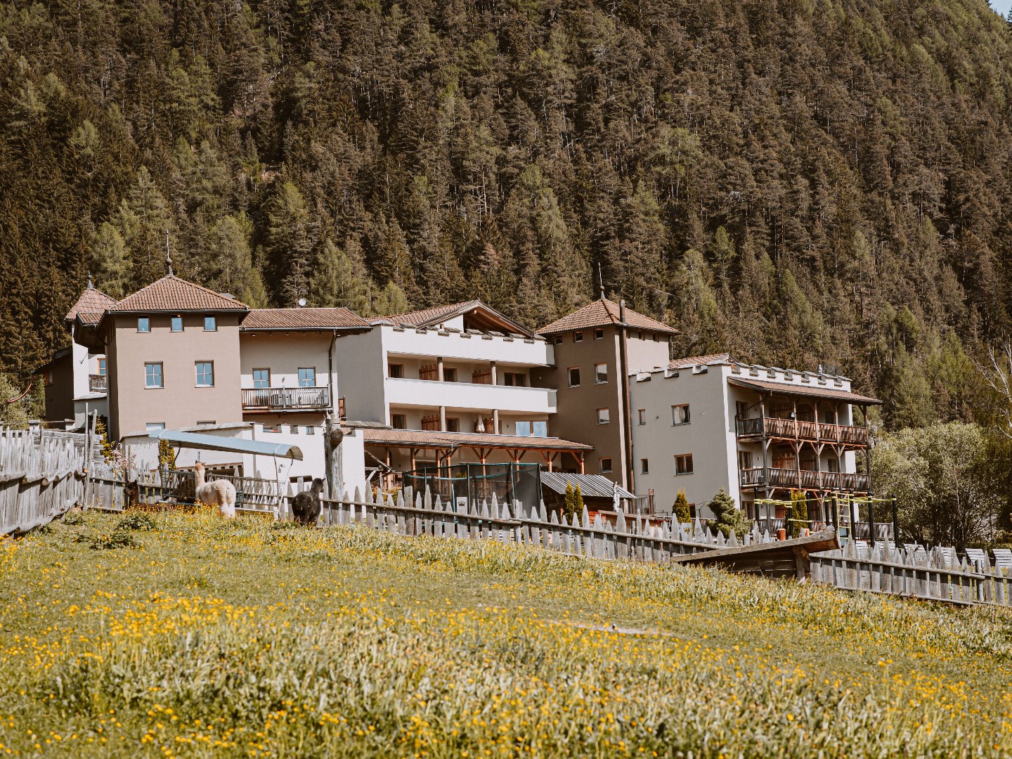 Familienzeit deluxe in den Südtiroler Dolomiten inkl. Halbpension  | 3 Nächte 