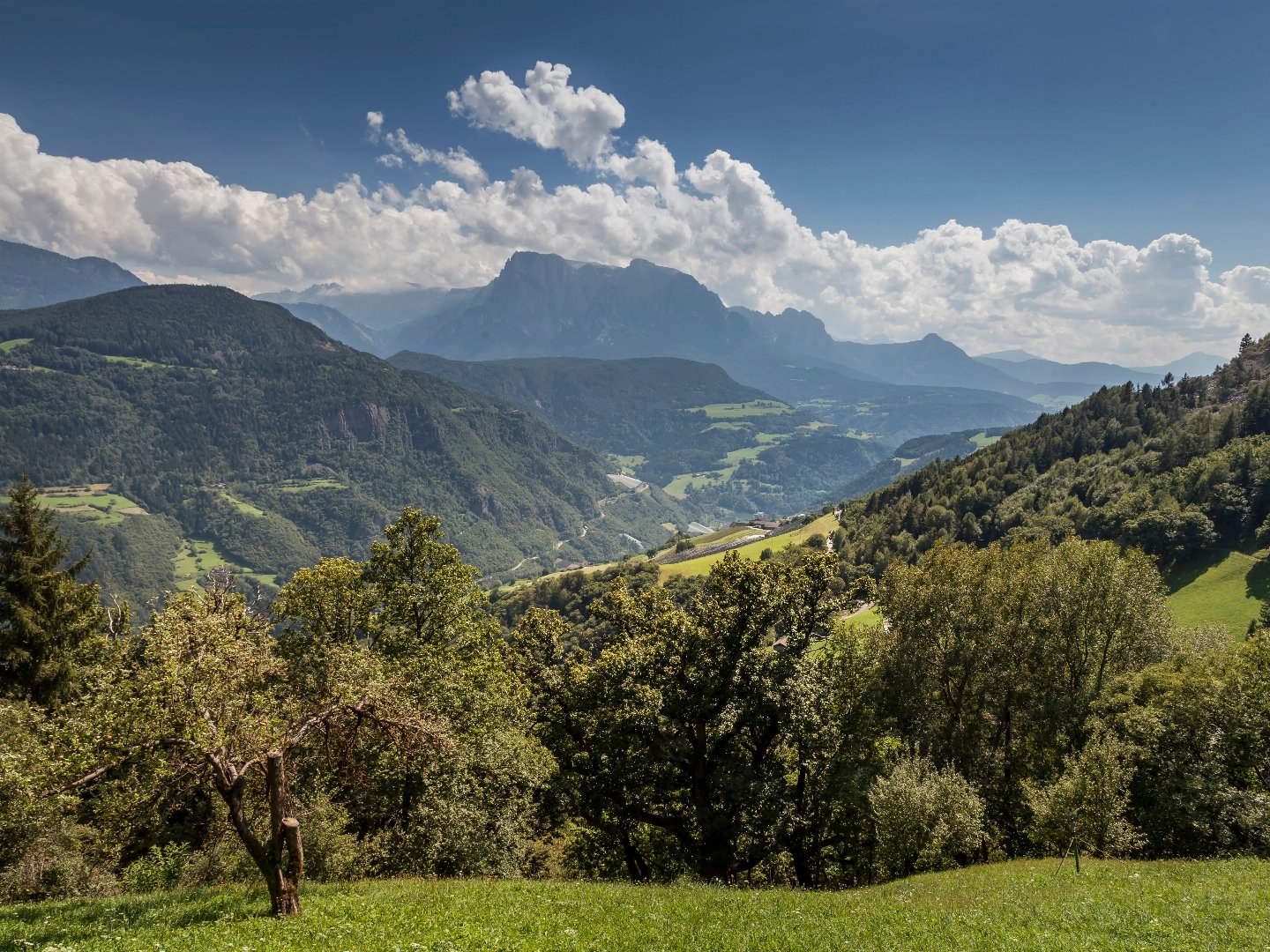 Familienzeit deluxe in den Südtiroler Dolomiten inkl. Halbpension  | 3 Nächte 