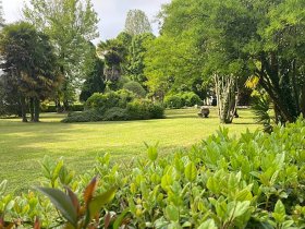 Villa-Urlaub mit Prosecco-Flair in Treviso | 3 Nächte 