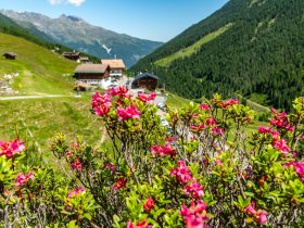 Work & Life - Alpin Workation in den Tiroler Bergen I 3 Nächte