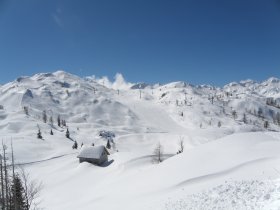Bergidylle & Seegenuss - Kurzurlaub am Bohinj See inkl. Halbpension | 6 Nächte    