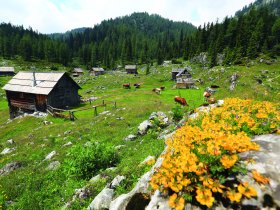 Bergidylle & Seegenuss - Kurzurlaub am Bohinj See inkl. Halbpension | 6 Nächte    