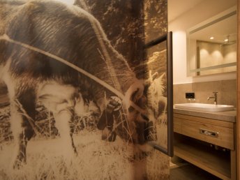 Sommerurlaub in Stubai - Abenteuer Tandemflug