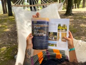 Wilde Toskana & Olivenöl-Genuss - 3 Tage 