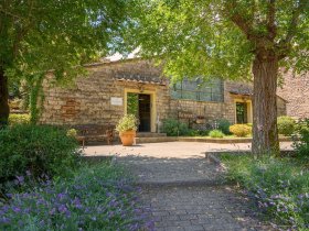 Wilde Toskana & Olivenöl-Genuss - 3 Tage 