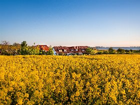 Herbsturlaub am Jasmunder Bodden | 4 Tage Rügen