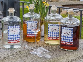 Herbsturlaub am Jasmunder Bodden | 4 Tage Rügen