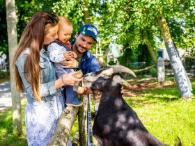 Weihnachten auf der Domäne Groschwitz – Ihr stilles Fest in der Natur