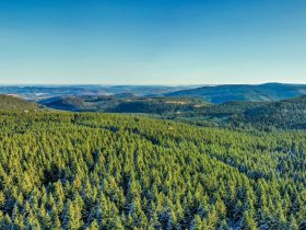 2 Tage Ferienhof-Auszeit in der Natur zwischen Saaletal und Thüringer Wald