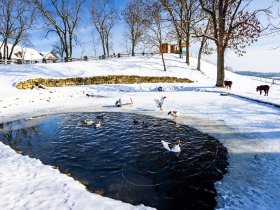 2 Tage Ferienhof-Auszeit in der Natur zwischen Saaletal und Thüringer Wald