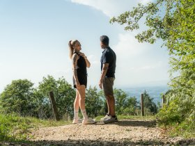 Bodenseepanorama mit süßer Überraschung im Weinkeller | 2 Nächte